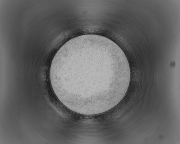 X0000091970738200710041048