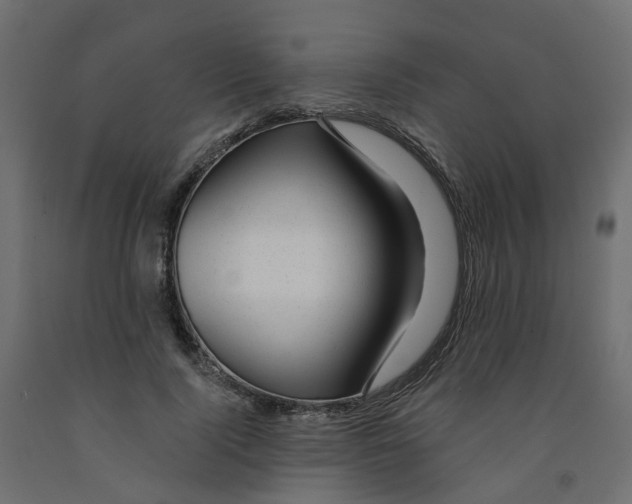 X0000091970740200710041048