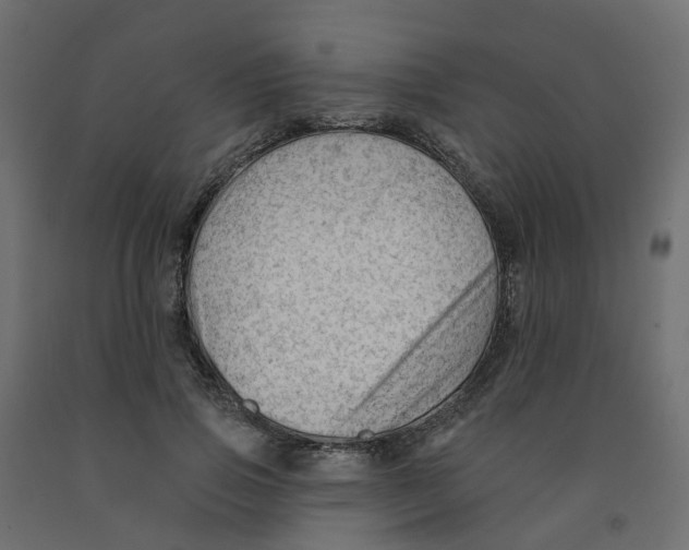 X0000091970741200710041048