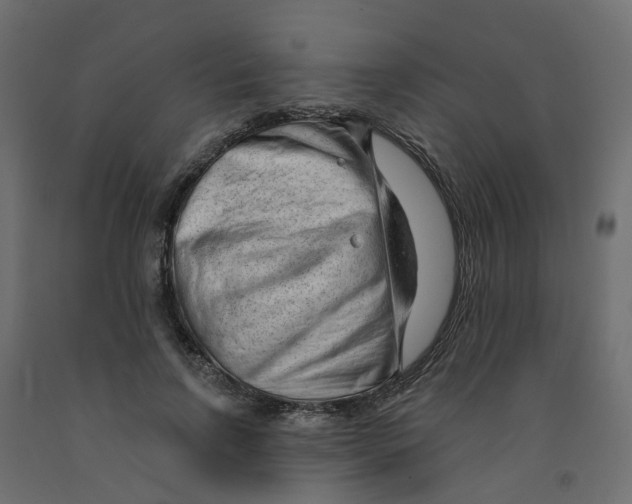 X0000091970742200710041048