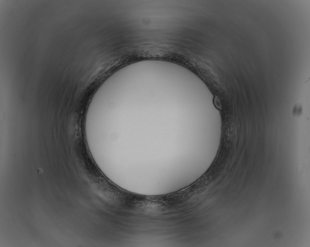 X0000091970743200710041048