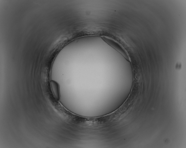X0000091970744200710041048
