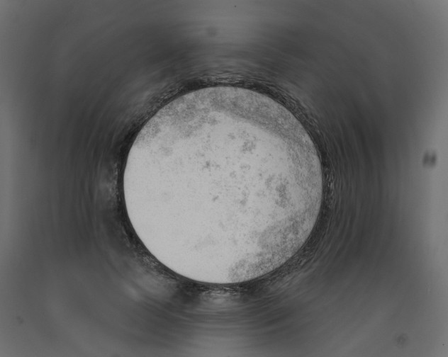 X0000091970745200710041048