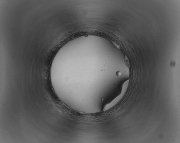 X0000091970750200710041048