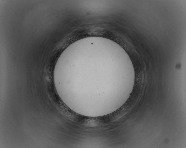 X0000091970755200710041049