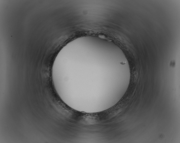 X0000091970756200710041049