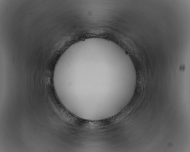 X0000091970758200710041049