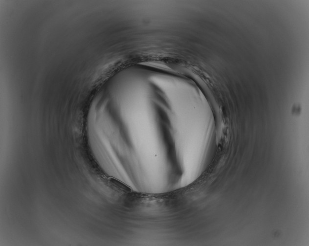 X0000091970760200710041049