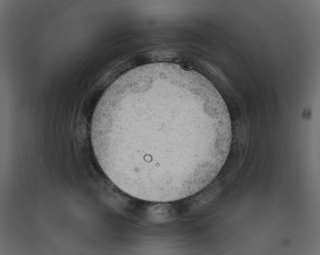 X0000091970761200710041049