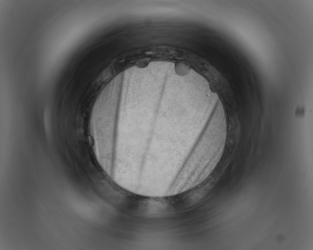 X0000091970765200710041049