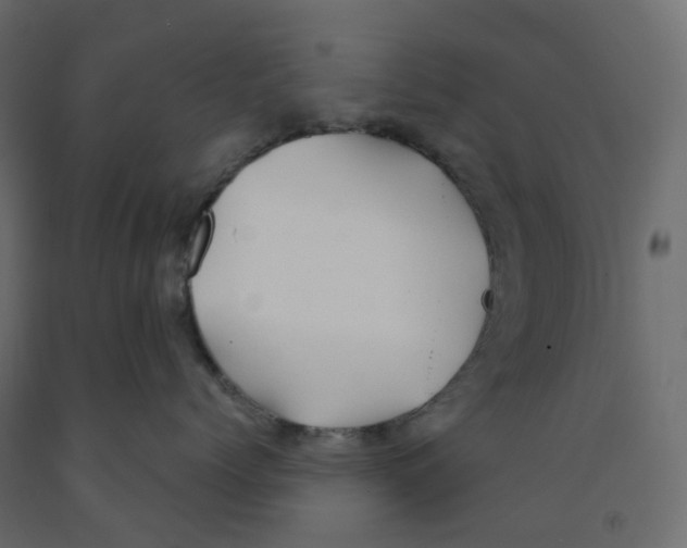 X0000091970768200710041049