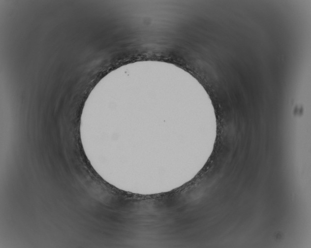 X0000091970769200710041048