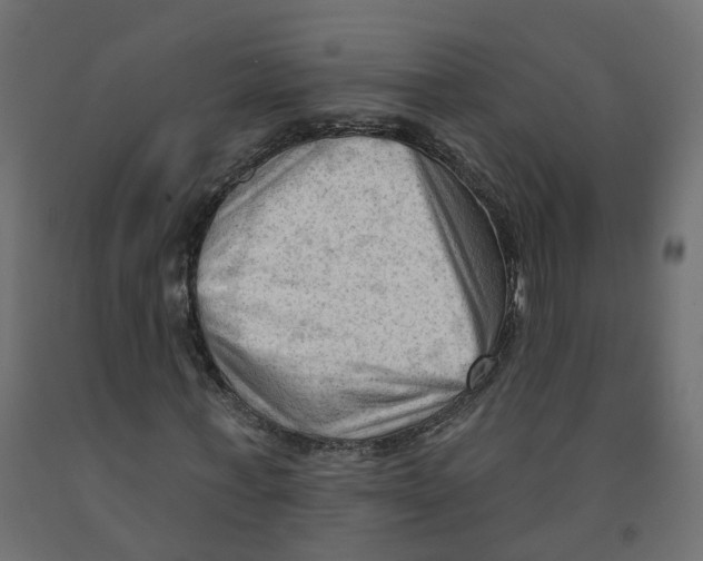 X0000091970771200710041048