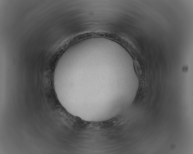 X0000091970773200710041048