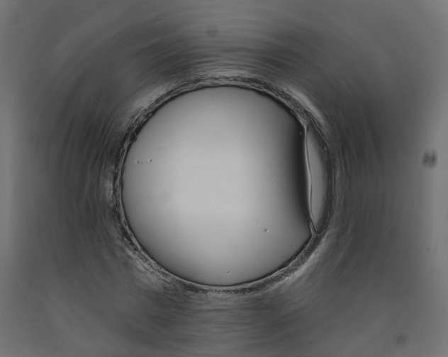 X0000091970777200710041048