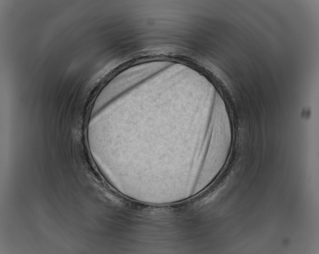 X0000091970778200710041048