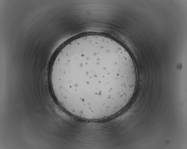 X0000091970779200710041048