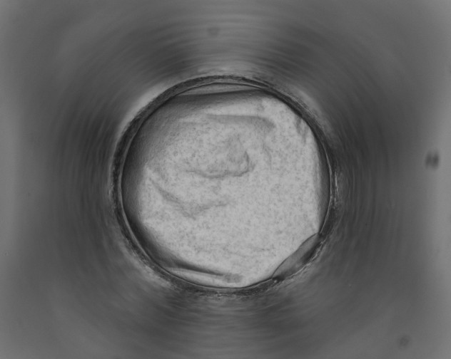 X0000091970780200710041048