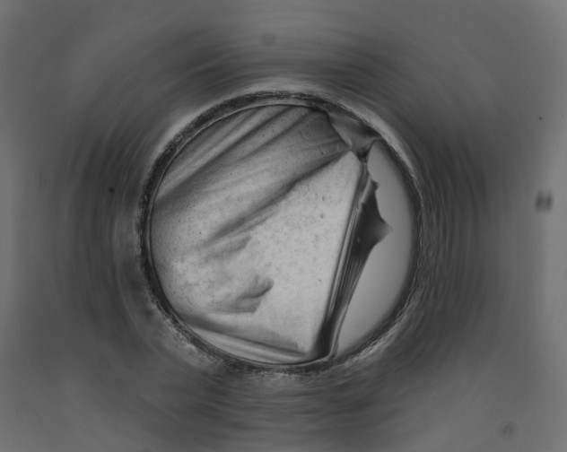 X0000091970783200710041048