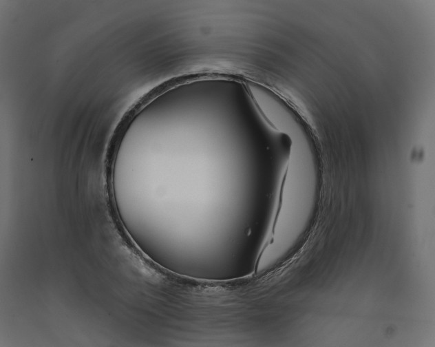 X0000091970784200710041048