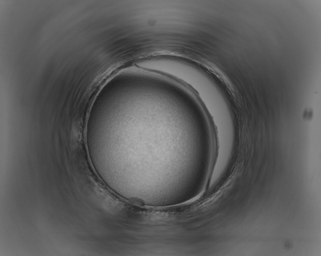 X0000091970785200710041048