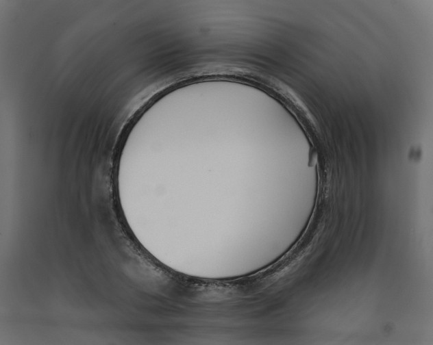 X0000091970786200710041048