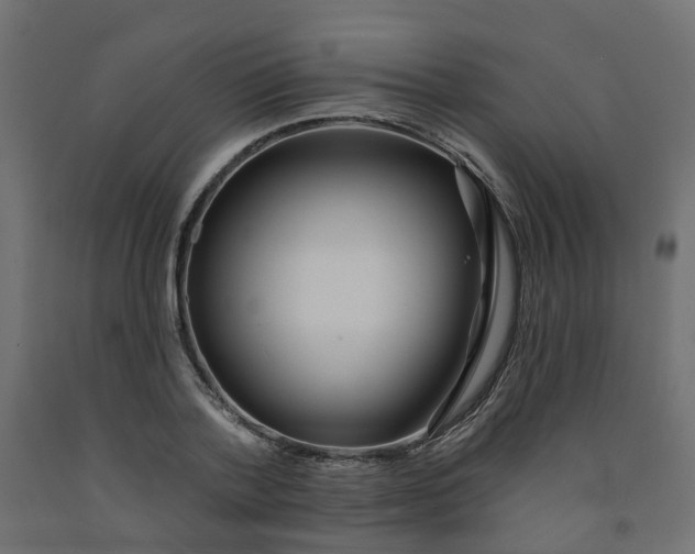 X0000091970788200710041048