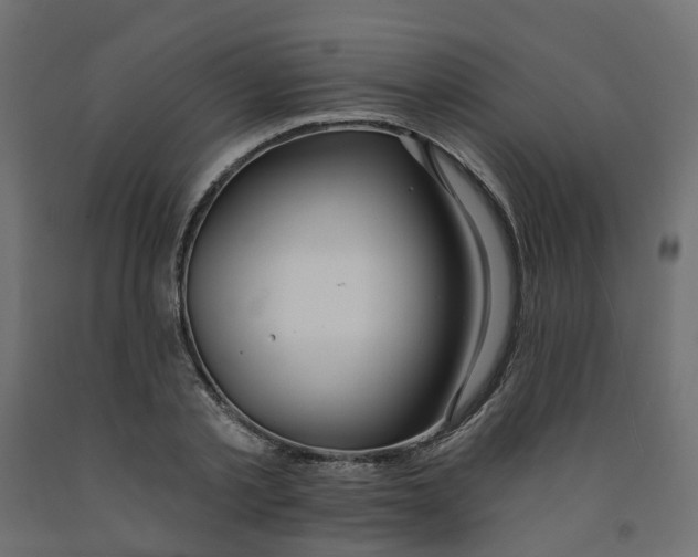 X0000091970789200710041048