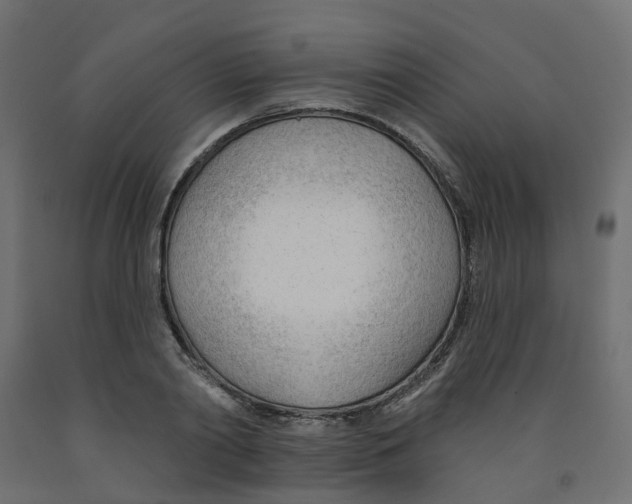 X0000091970790200710041048