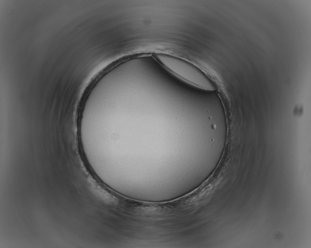 X0000091970792200710041048