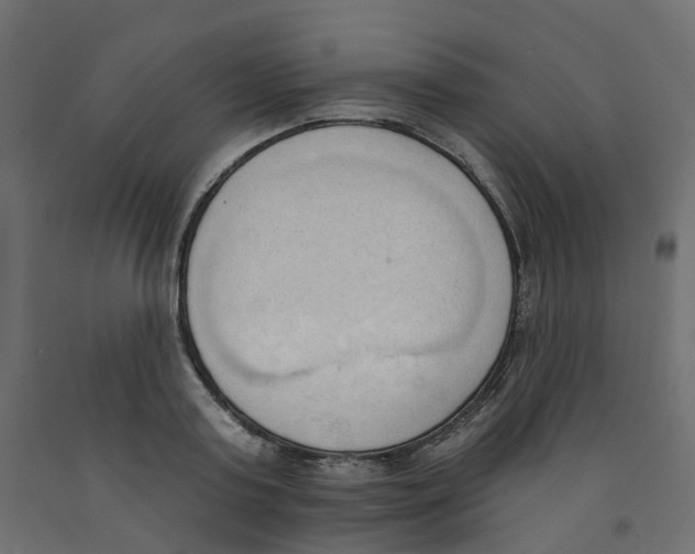 X0000091970795200710041048