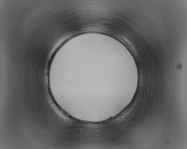 X0000091970796200710041048