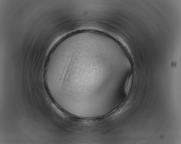 X0000091970799200710041048