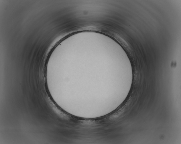 X0000091970800200710041048