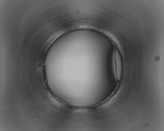 X0000091970801200710041048