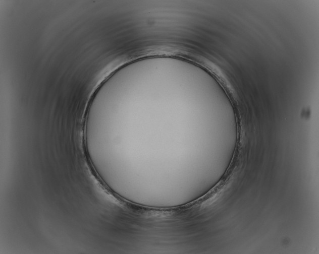 X0000091970802200710041048