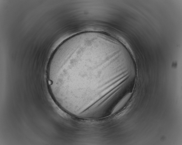 X0000091970803200710041048