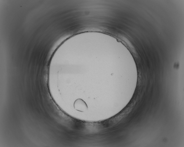 X0000091970804200710041048