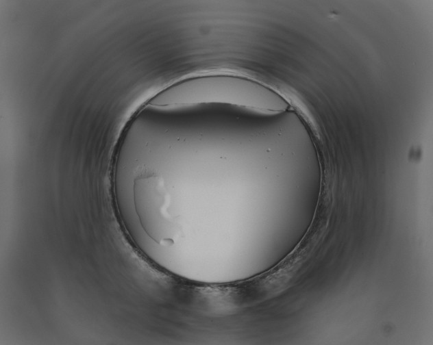 X0000091970805200710041048