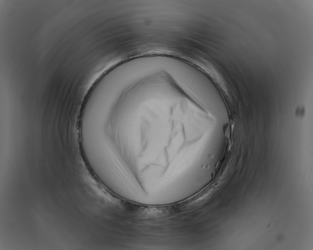 X0000091970806200710041048
