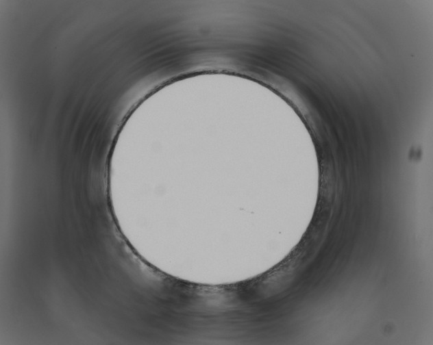 X0000091970807200710041048