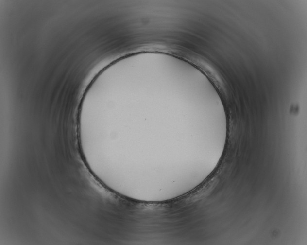 X0000091970808200710041047