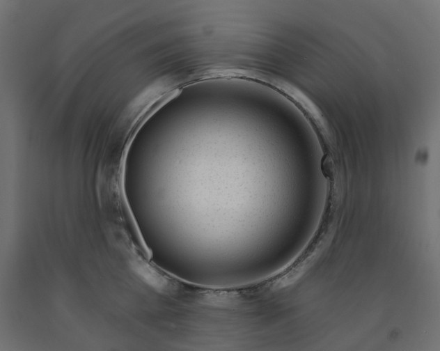 X0000091970809200710041047
