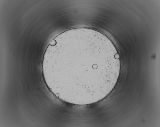 X0000091970810200710041047