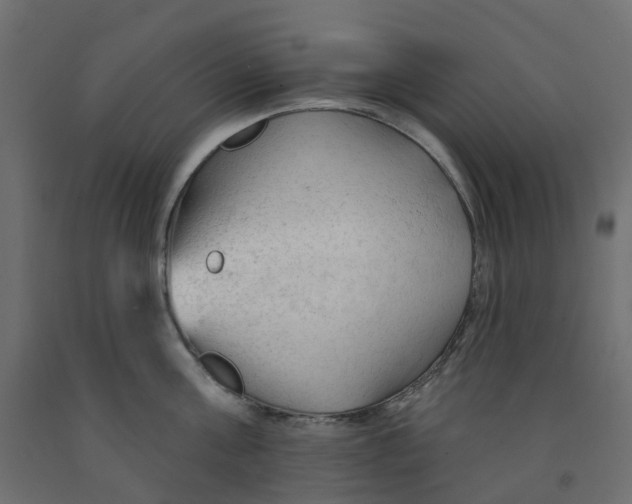 X0000091970811200710041047