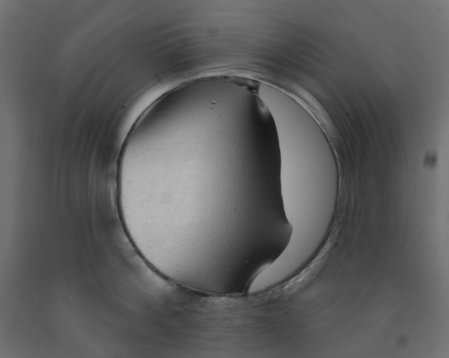 X0000091970812200710041047