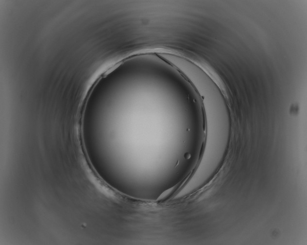 X0000091970813200710041047