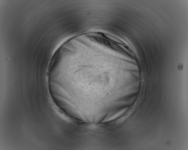X0000091970814200710041047