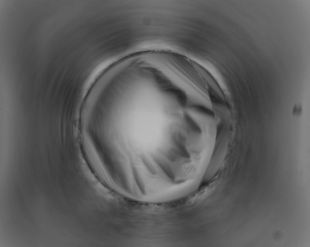 X0000091970815200710041047