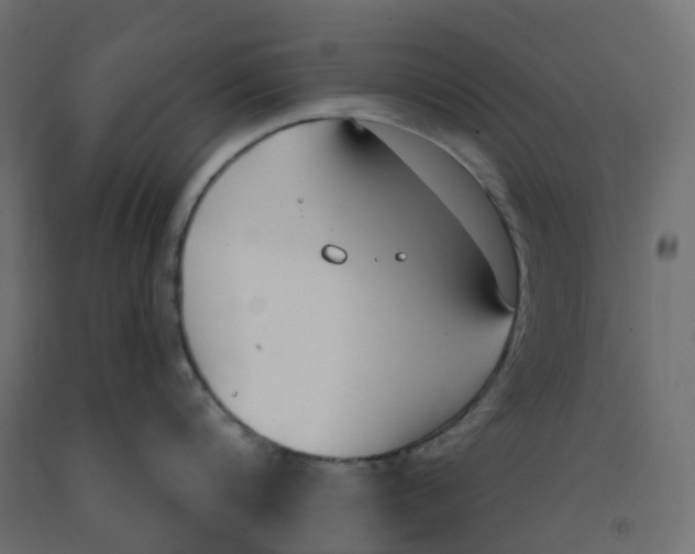 X0000091970816200710041047